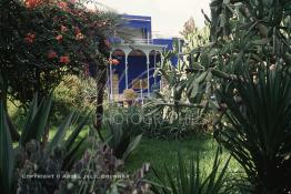 Image du Maroc Professionnelle de  Le Jardin Majorelle une pure merveille crée par le peintre français Jacques Majorelle, qui a eu le coup de foudre pour Marrakech. Yves Saint Laurent et Pierre Bergé font l’acquisition de ce havre de paix durant les années quatre-vingt où Yves Saint Laurent dessina plusieurs pièces. son voeux était de faire de ce parc une œuvre d’art vivante. On y découvre des plantes provenant des cinq continents, yuccas d’Océanie, lotus d’Asie, cactus d’Amérique, palmiers d’Afrique et cyprès d’Europe …, à Marrakech le Lundi 18 Août 1997. ((Photo / Abdeljalil Bounhar)